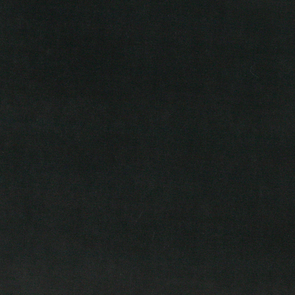 10000-03 Plain & Solid nan Black Charlotte Select