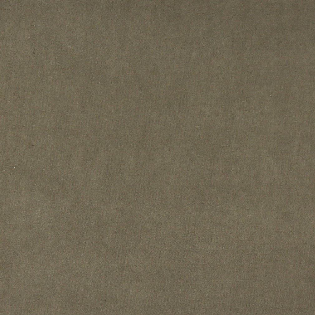 10000-04 Plain & Solid nan Beige & Taupe Charlotte Select