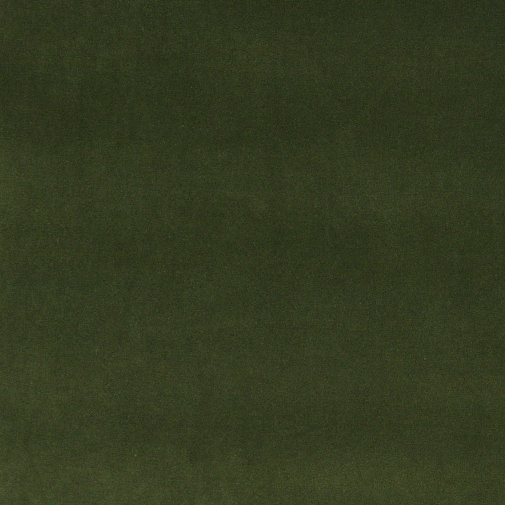 10000-07 Plain & Solid nan Green Charlotte Select