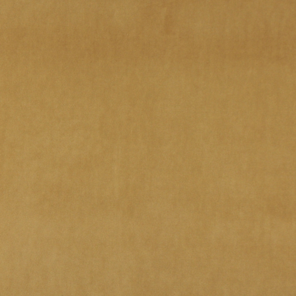 10000-08 Plain & Solid nan Gold & Yellow Charlotte Select