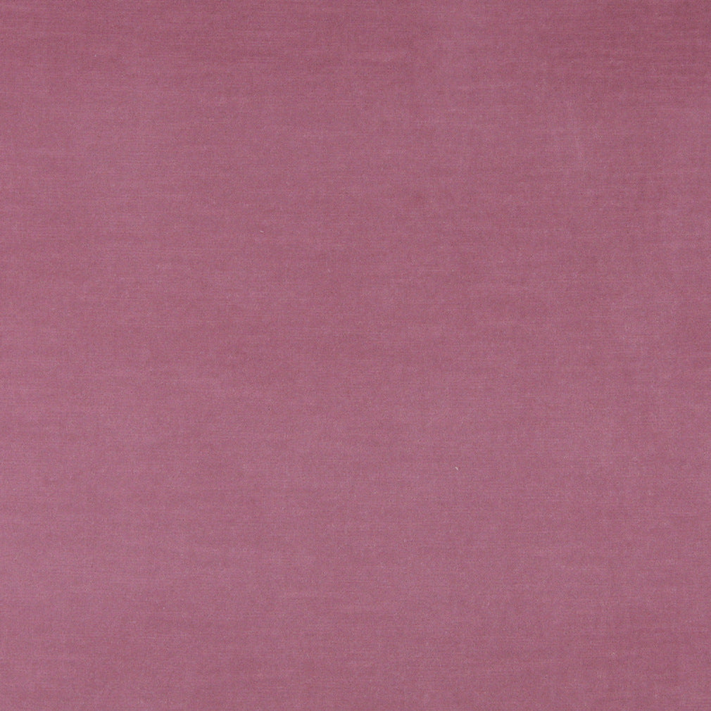 10001-02 Plain & Solid nan Pink Charlotte Select