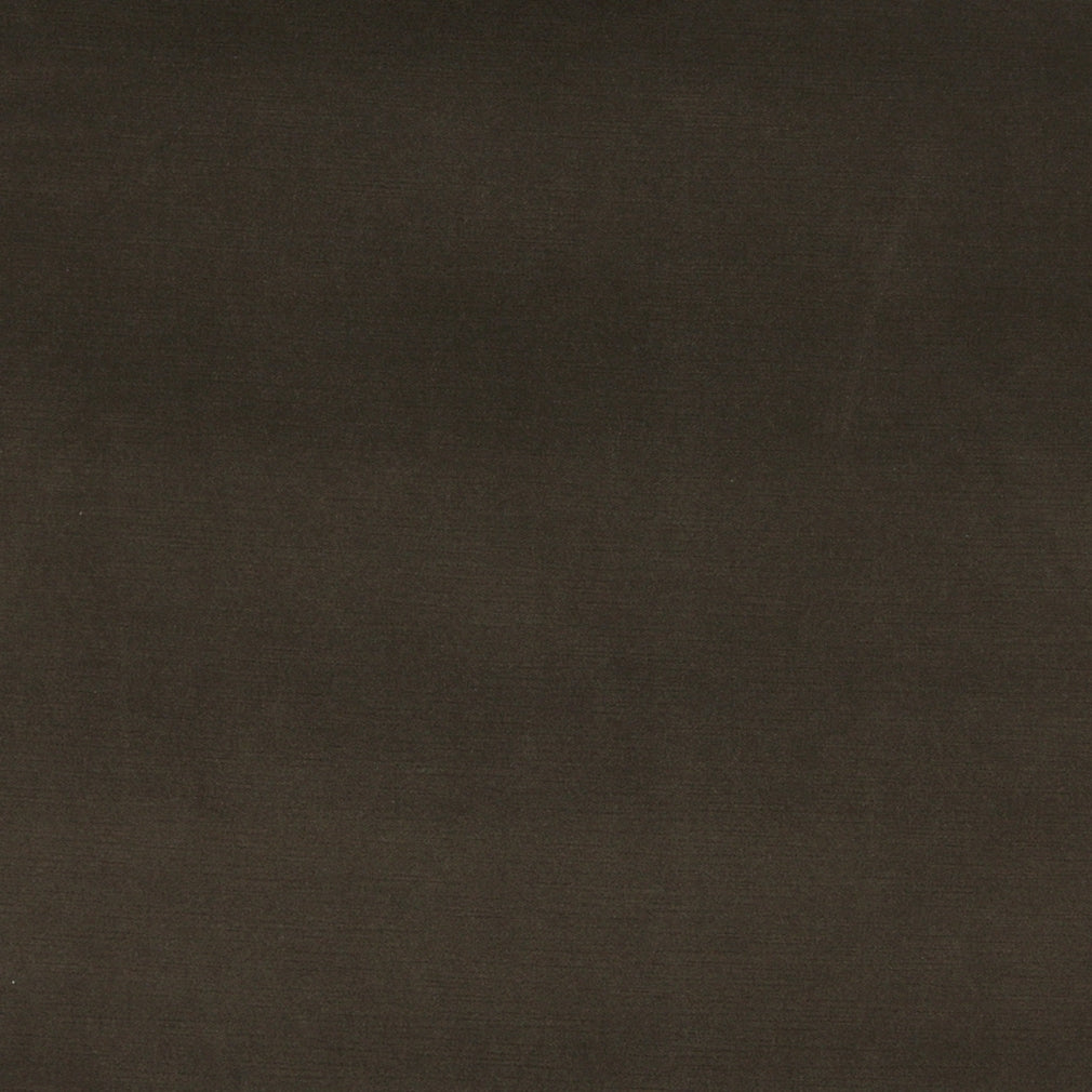 10001-03 Plain & Solid nan Brown Charlotte Select
