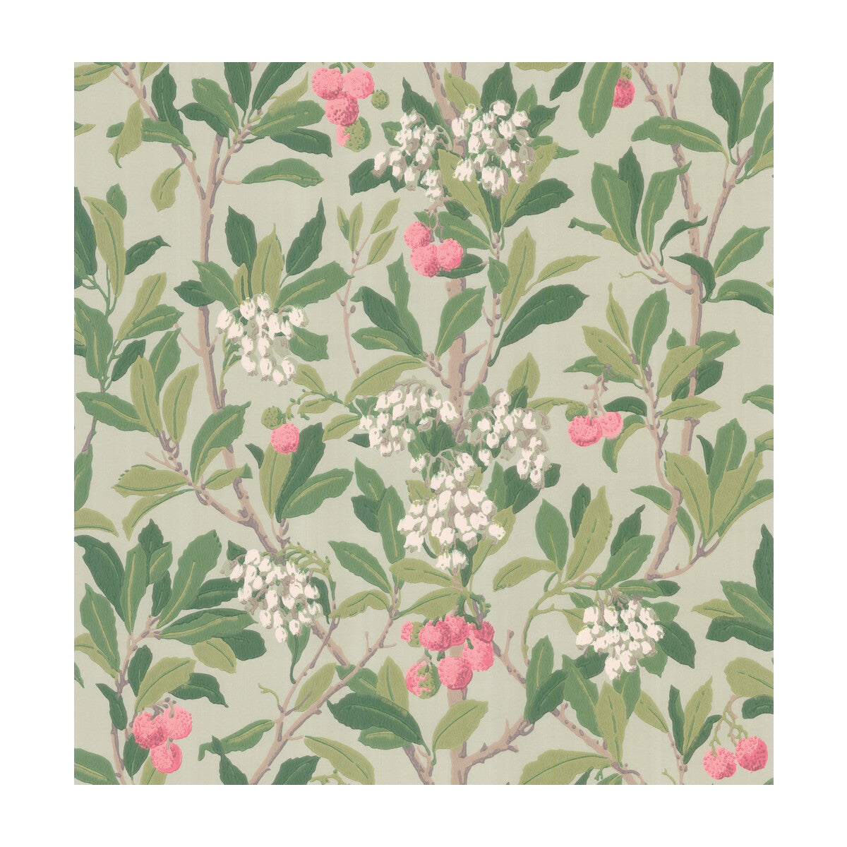 100/10048-CS STRAWBERRY TREE PINK & DUCK EGG COLE & SON Wallpaper