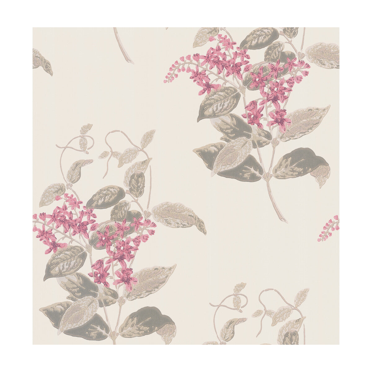100/12058-CS MADRAS VIOLET PINK COLE & SON Wallpaper