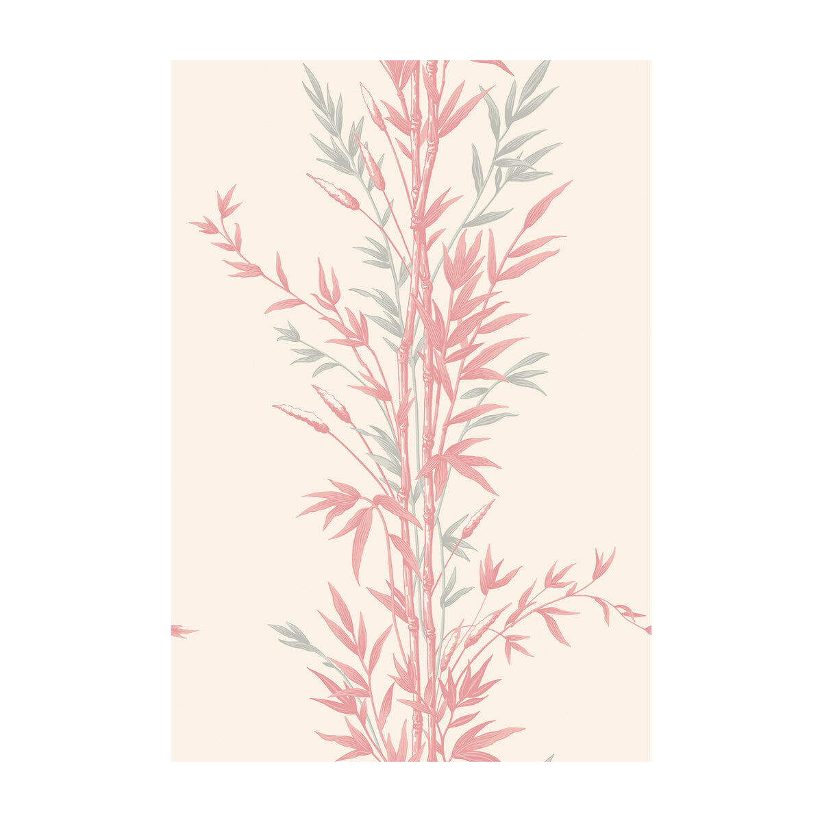 100/5024-CS BAMBOO Pink Cole & Son Wallpaper