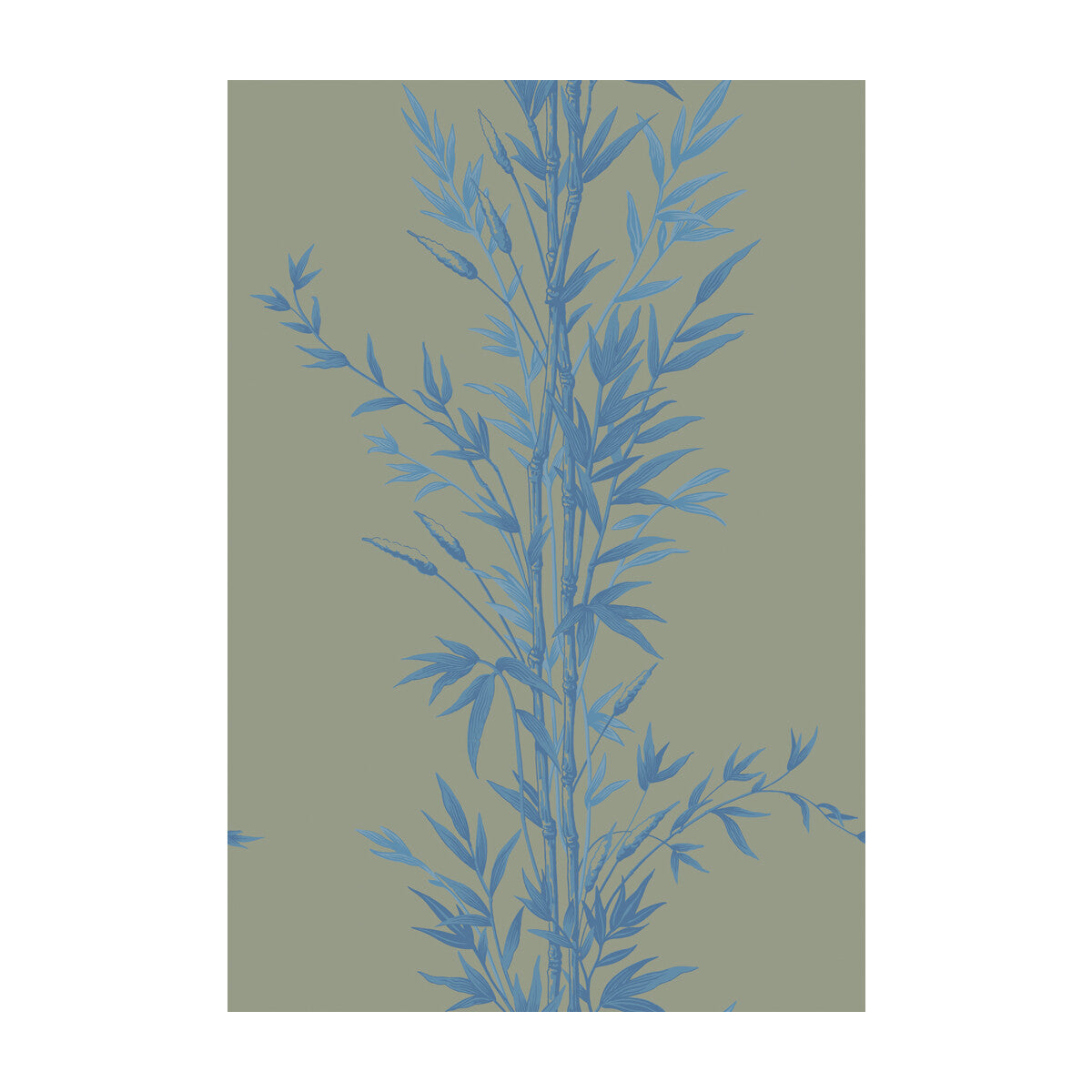 100/5026-CS BAMBOO Blue On Khaki Cole & Son Wallpaper