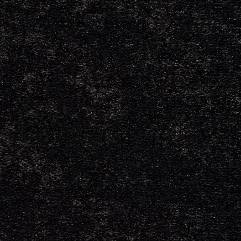 10150-03 Plain & Solid nan Black Charlotte Select