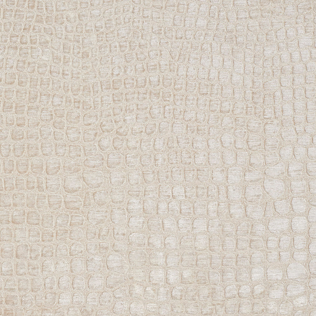 10151-02 Animal Print,Plain & Solid,Small Scale nan White & Ivory Charlotte Select