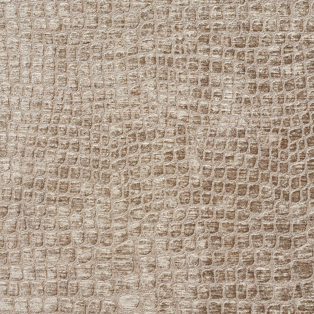 10151-07 Animal Print,Plain & Solid,Small Scale nan Beige & Taupe Charlotte Select