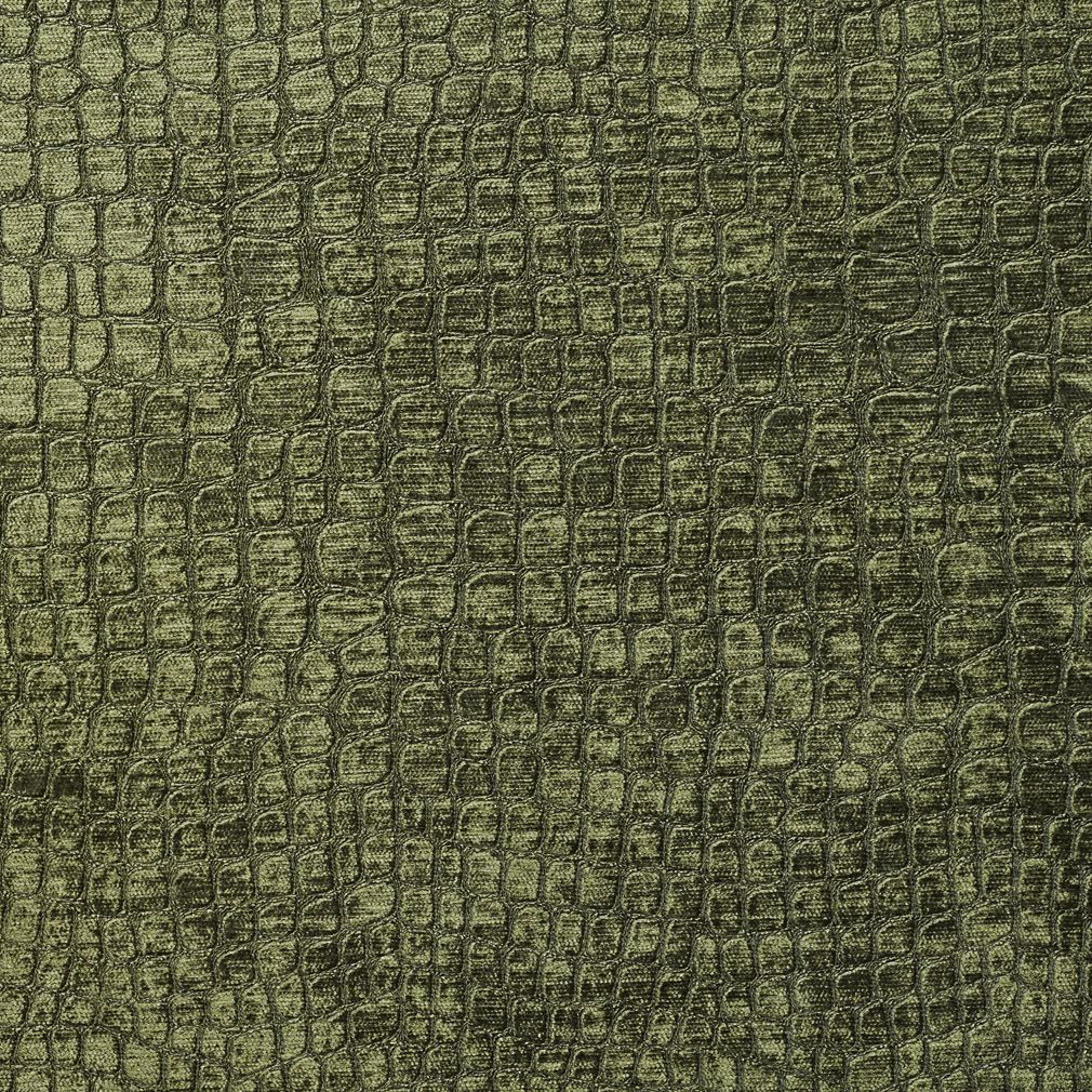 10151-16 Animal Print,Plain & Solid,Small Scale nan Green Charlotte Select