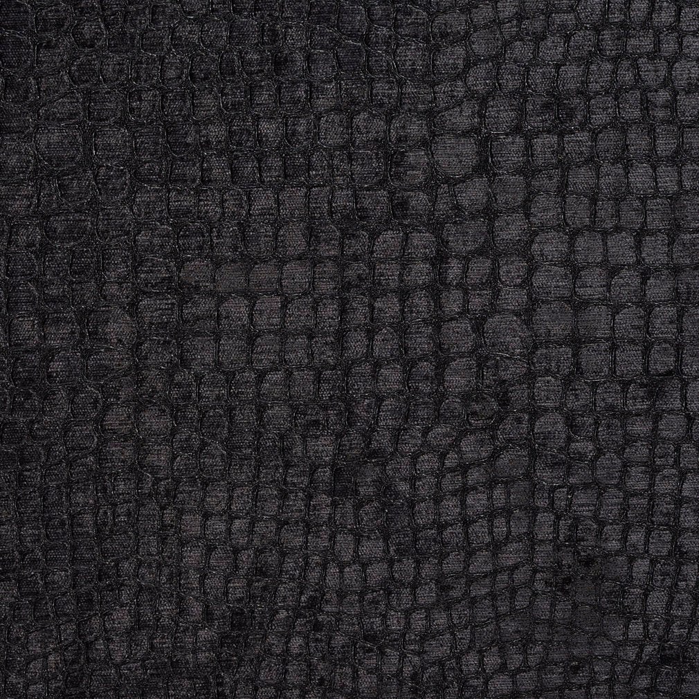 10151-17 Animal Print,Plain & Solid,Small Scale nan Black Charlotte Select