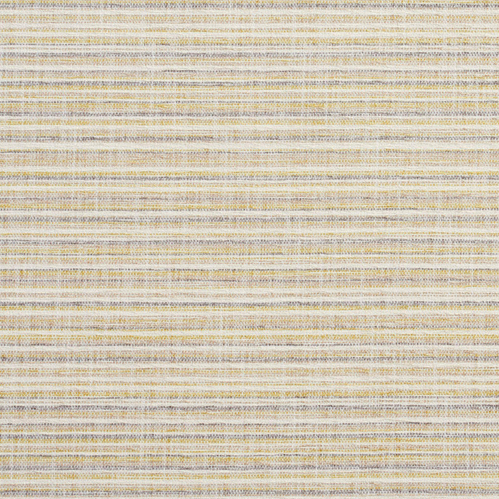 10460-01 Small Scale,Stripe nan Green Charlotte Select