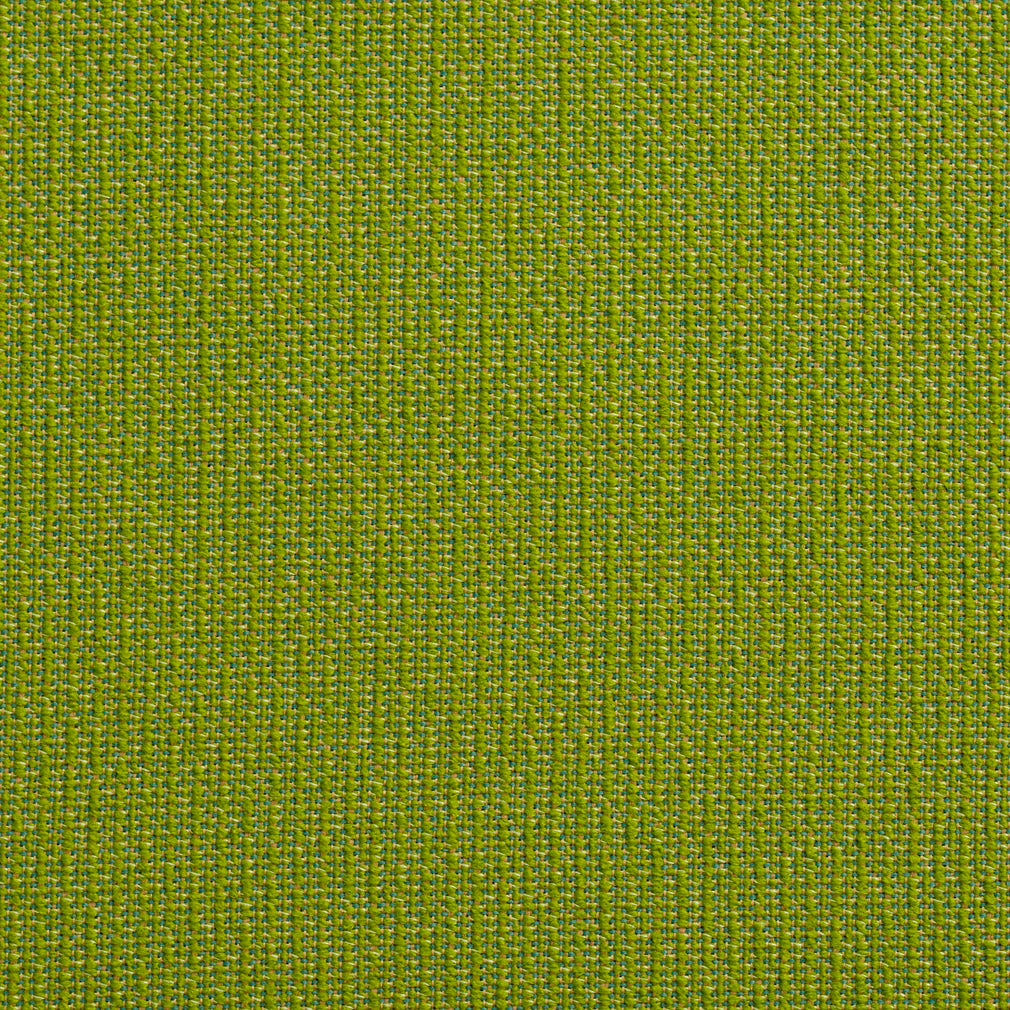 10670-03 Plain & Solid nan Green Charlotte Select