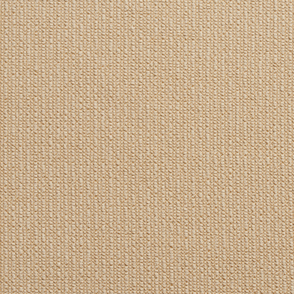 10670-05 Plain & Solid nan Beige & Taupe Charlotte Select