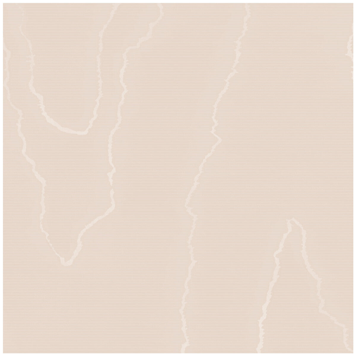 106/1007-CS WATERED SILK Salmon Cole & Son Wallpaper