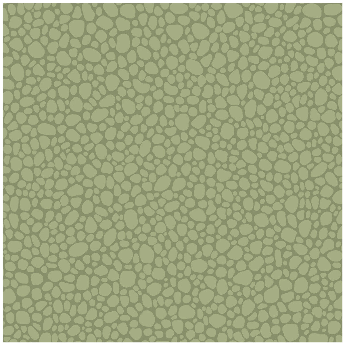 106/2026-CS PEBBLE Dark Olive Cole & Son Wallpaper