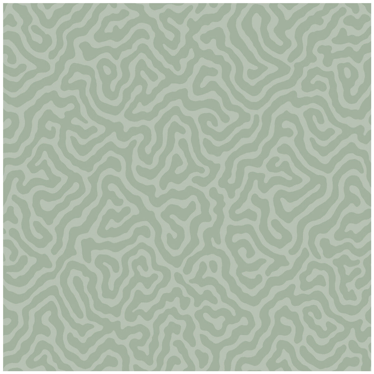 106/5066-CS CORAL Sage Cole & Son Wallpaper