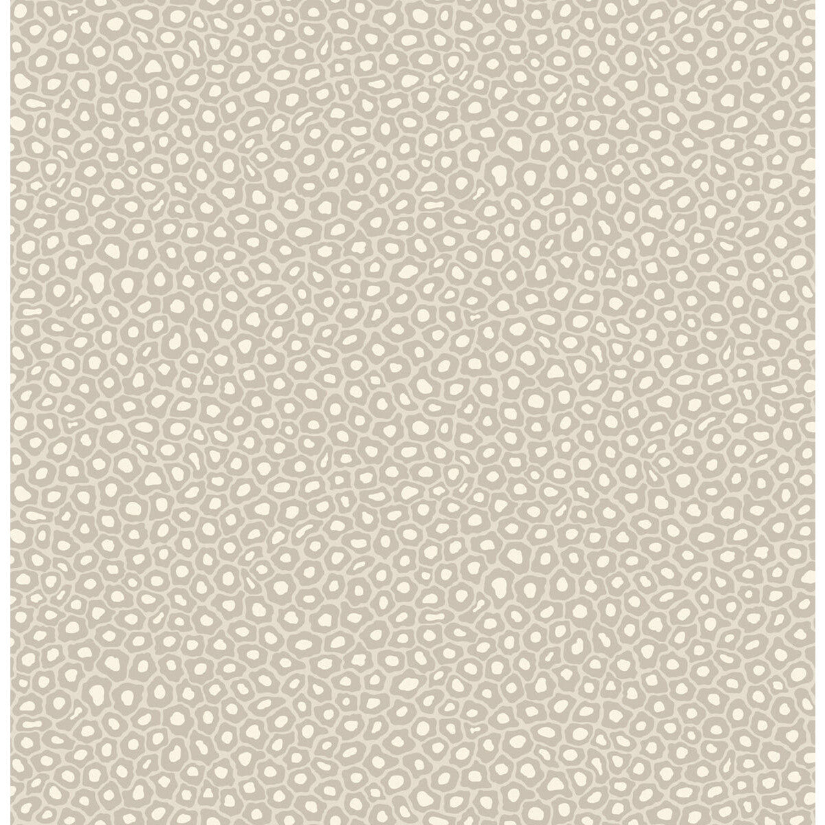 109/6030-CS SENZO SPOT STONE & WHITE COLE & SON Wallpaper