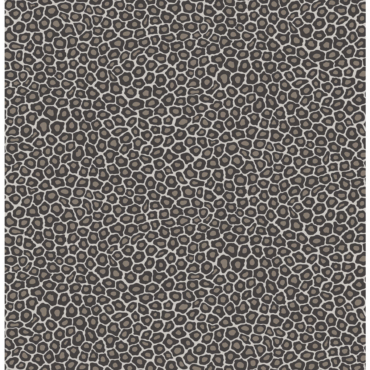 109/6031-CS SENZO SPOT BLACK & WHITE COLE & SON Wallpaper