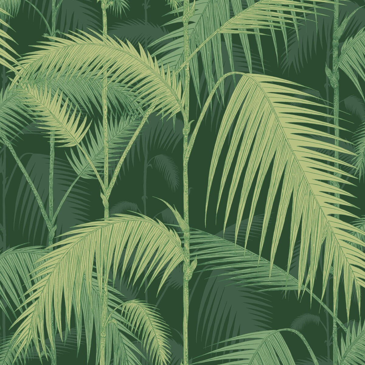 112/1003-CS PALM JUNGLE LEAF GREEN COLE & SON Wallpaper