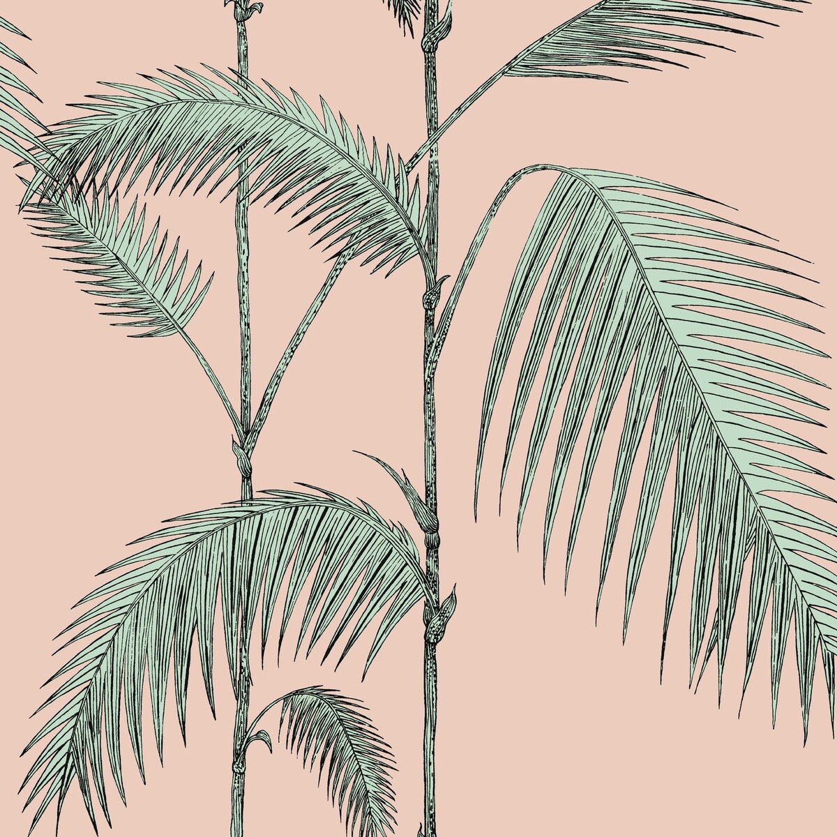 112/2005-CS PALM LEAVES PLASTER PINK/MINT COLE & SON Wallpaper