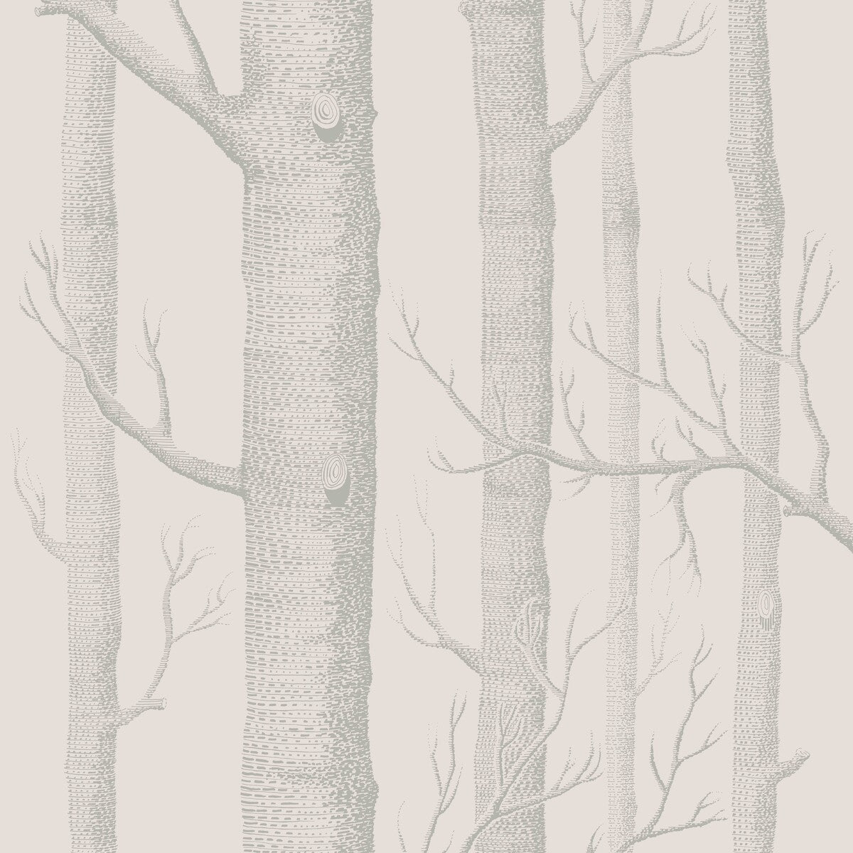 112/3011-CS WOODS PARCHMENT COLE & SON Wallpaper