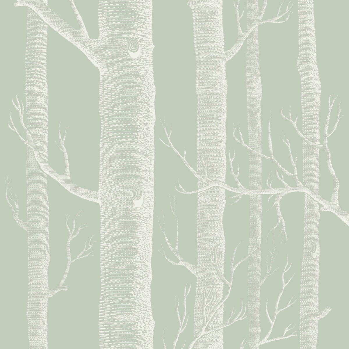 112/3013-CS WOODS OLD OLIVE COLE & SON Wallpaper