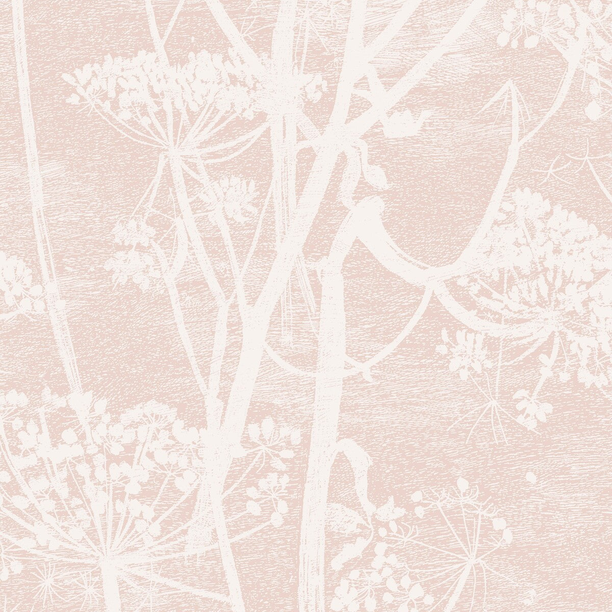 112/8028-CS COW PARSLEY Plaster Pink Cole & Son Wallpaper