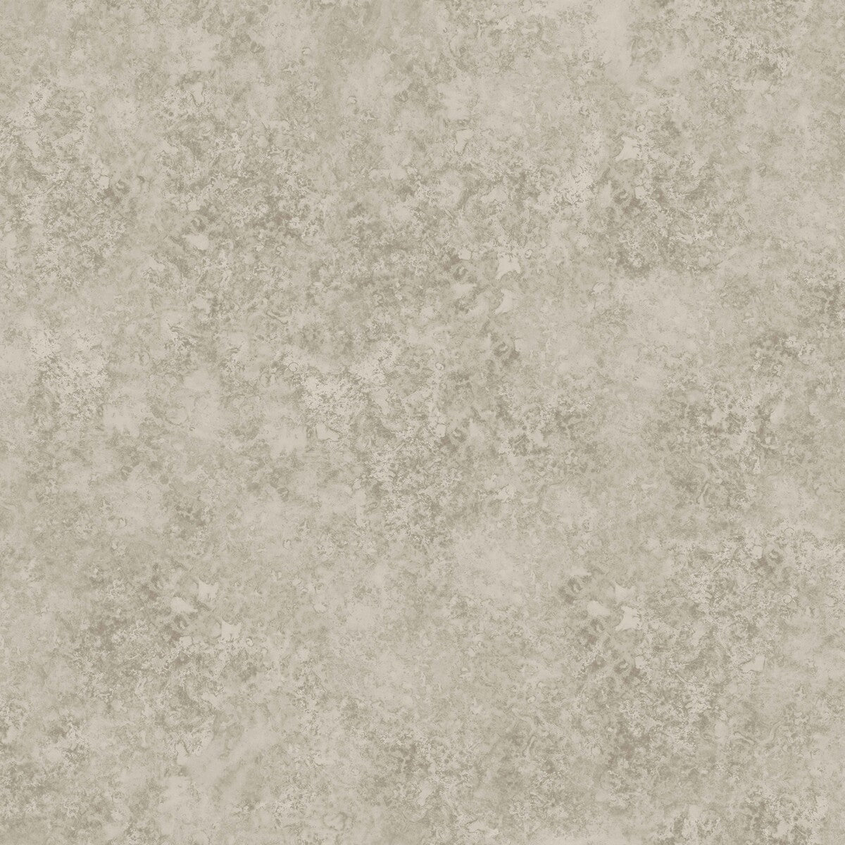 113/9026-CS PATINA HAZE WARM GILVER COLE & SON Wallpaper