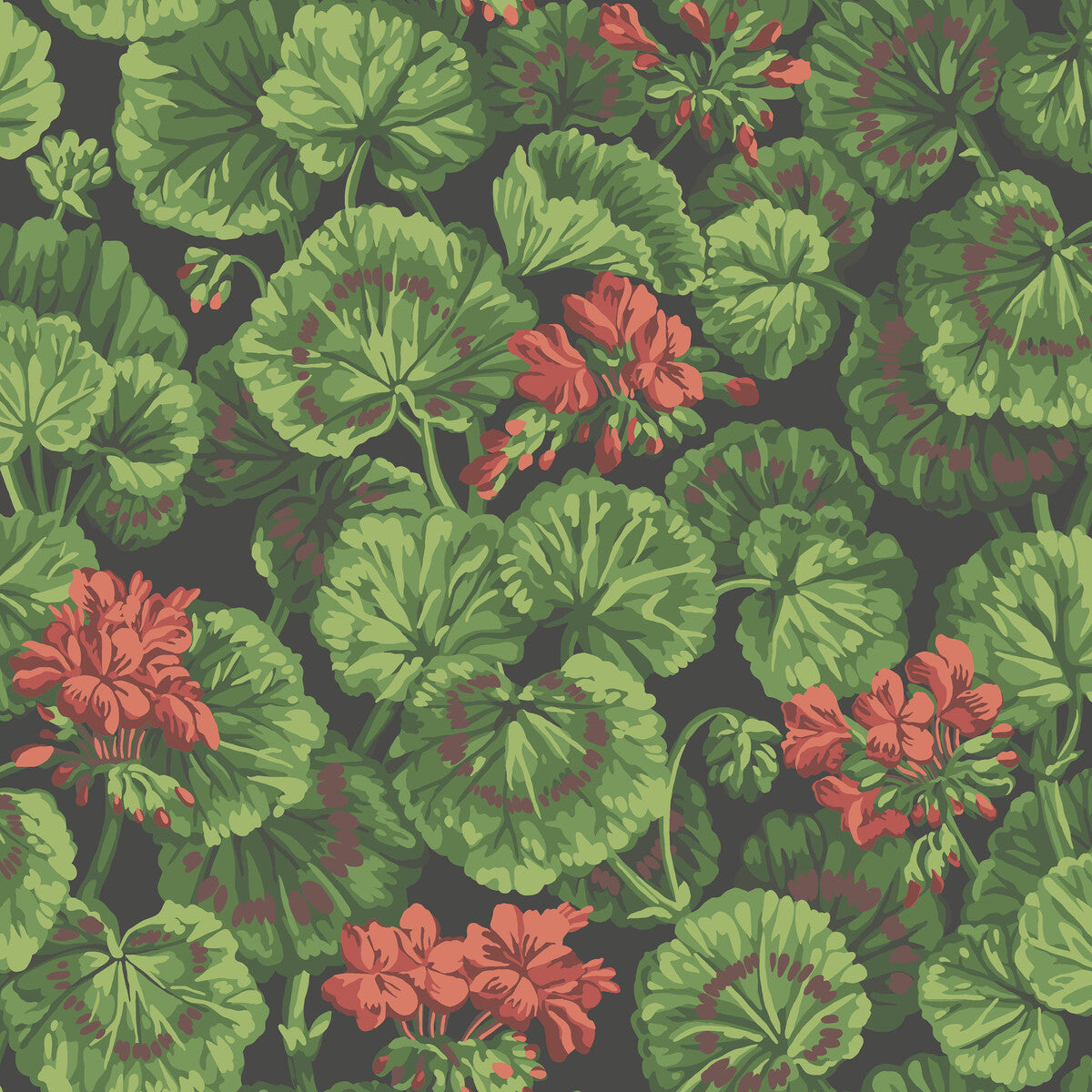 117/11033-CS Geranium Rouge & Leaf Greens On Black Cole & Son Wallpaper
