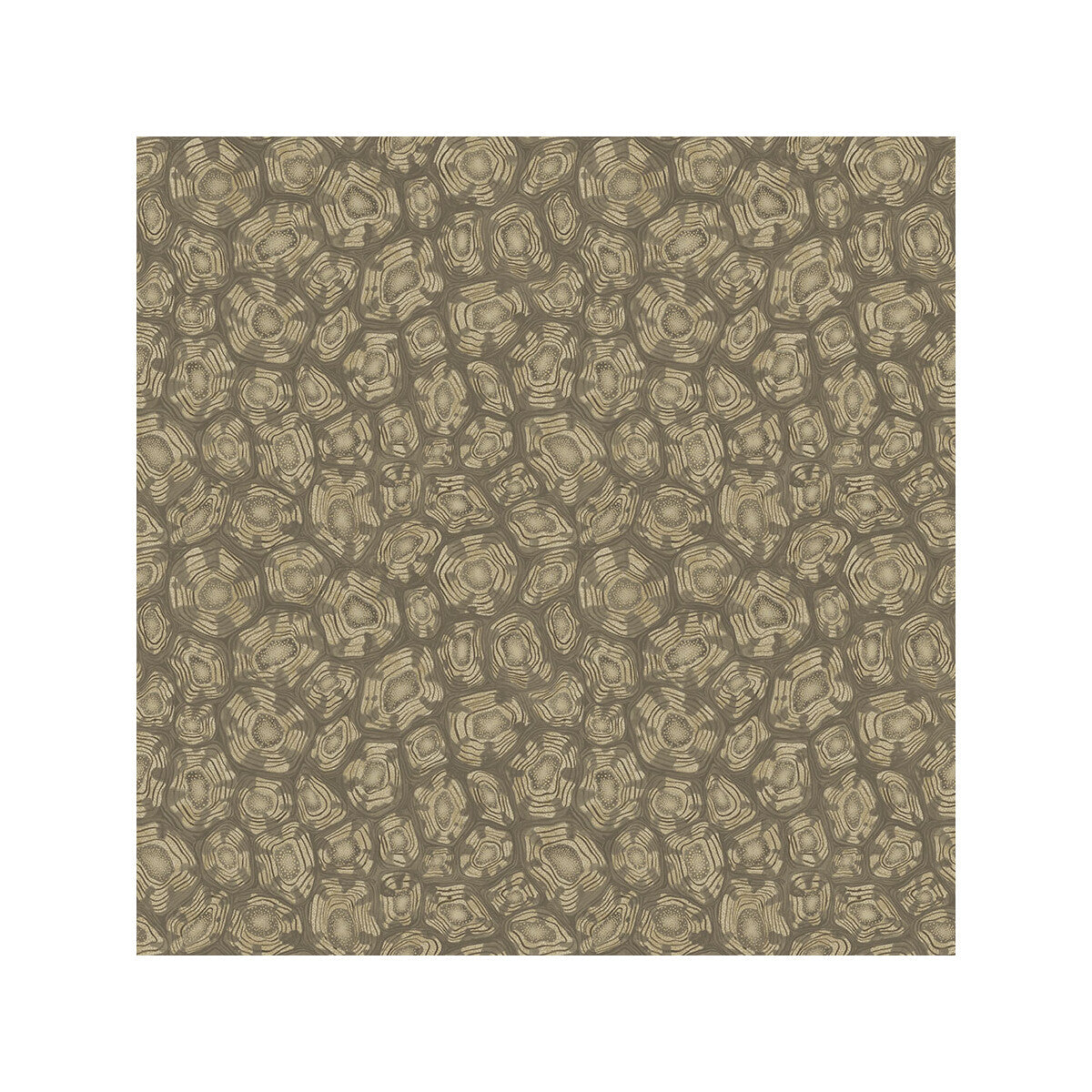 119/4020-CS SAVANNA SHELL GILVER COLE & SON Wallpaper