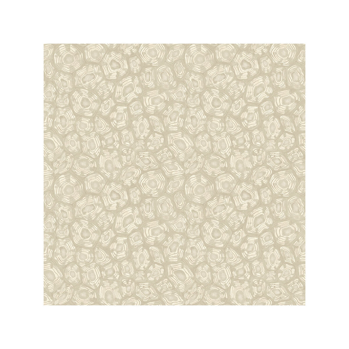 119/4021-CS SAVANNA SHELL PARCHMENT COLE & SON Wallpaper