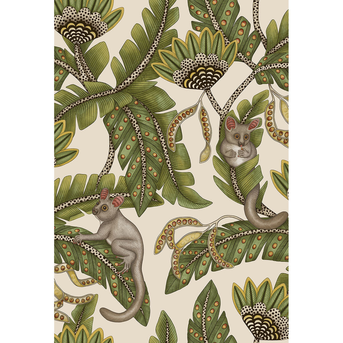 119/7032-CS BUSH BABY SPRGRN&MRGLD/STN COLE & SON Wallpaper