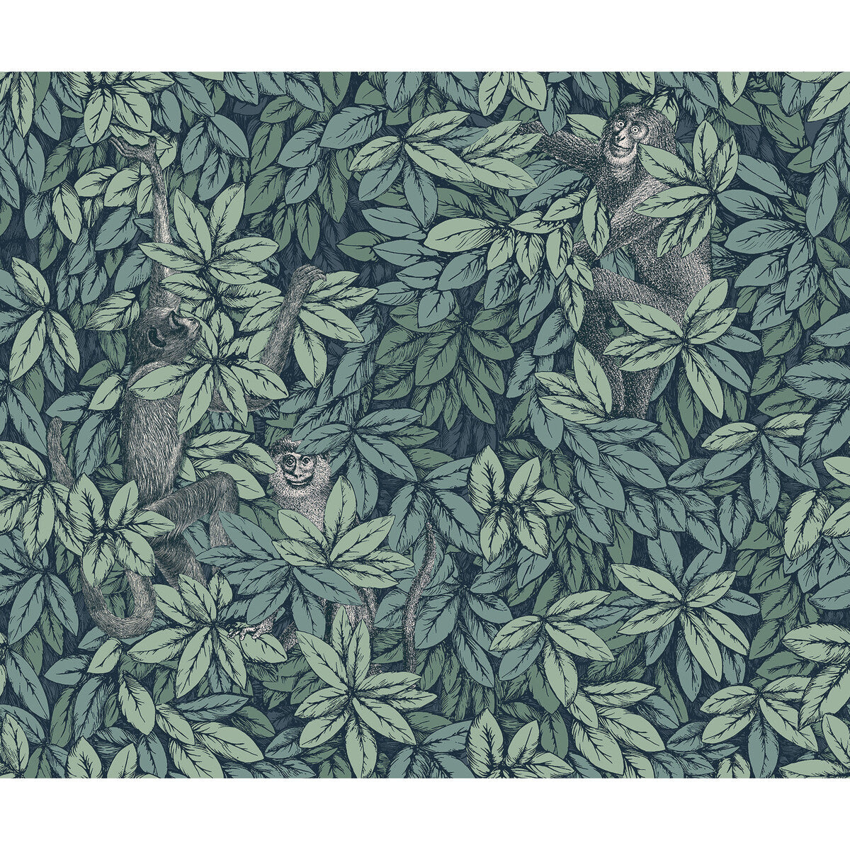 123/10046-CS FOGLIE E SCIMMIE VIRIDIAN COLE & SON Wallpaper