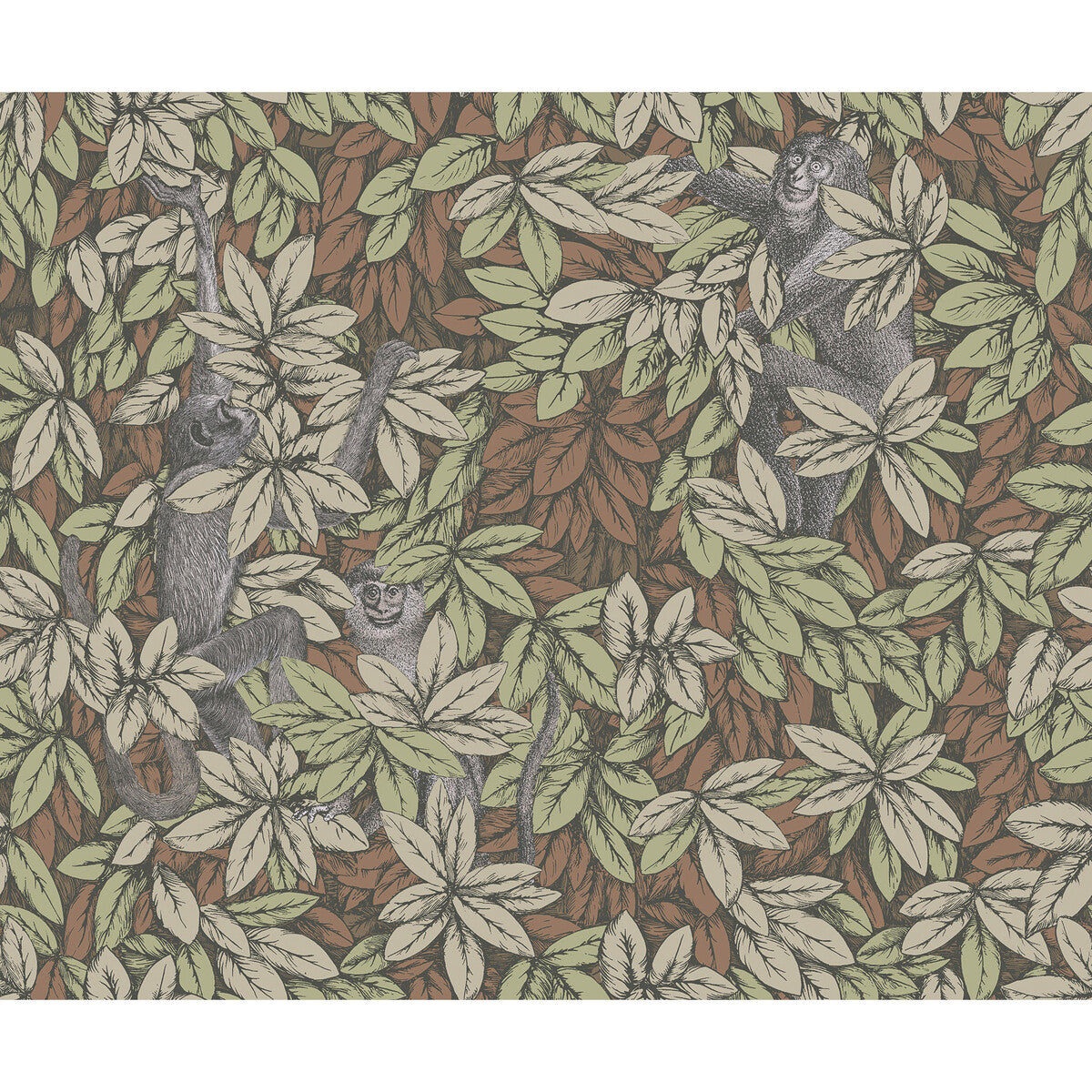 123/10047-CS FOGLIE E SCIMMIE ORANGE COLE & SON Wallpaper