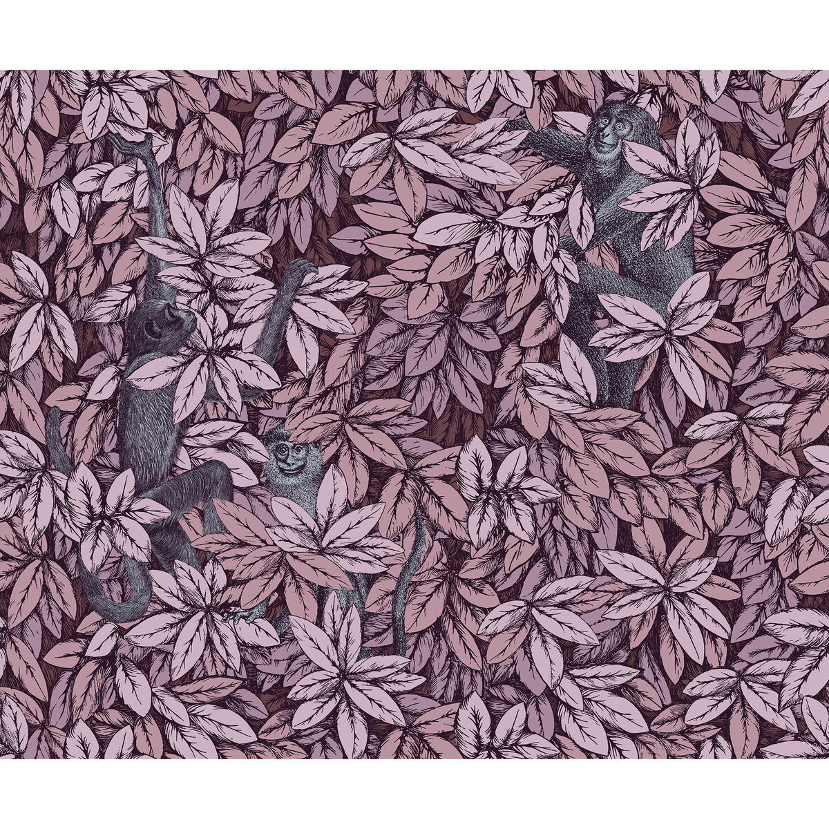 123/10048-CS FOGLIE E SCIMMIE BLUSH COLE & SON Wallpaper