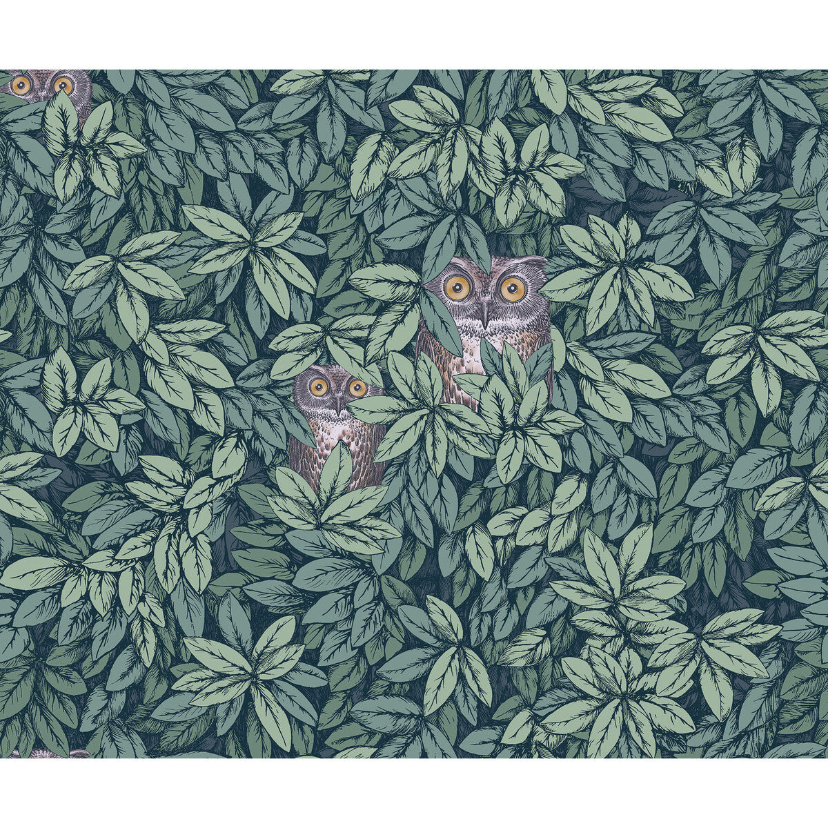 123/11051-CS FOGLIE E CIVETTE VIRIDIAN COLE & SON Wallpaper