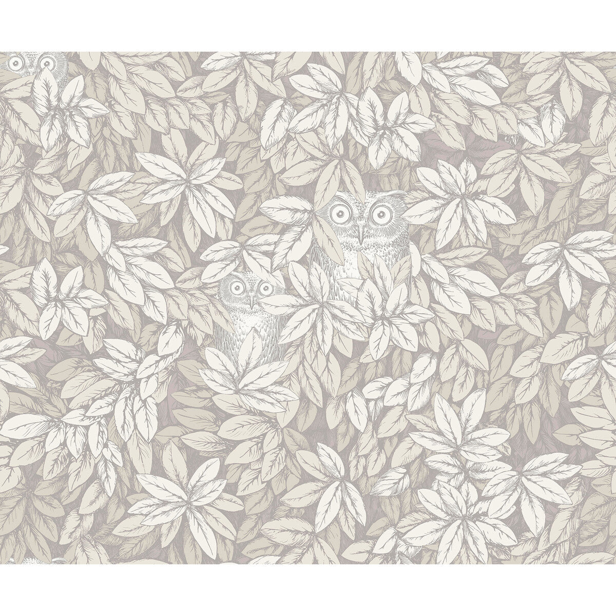 123/11052-CS FOGLIE E CIVETTE WHITE COLE & SON Wallpaper