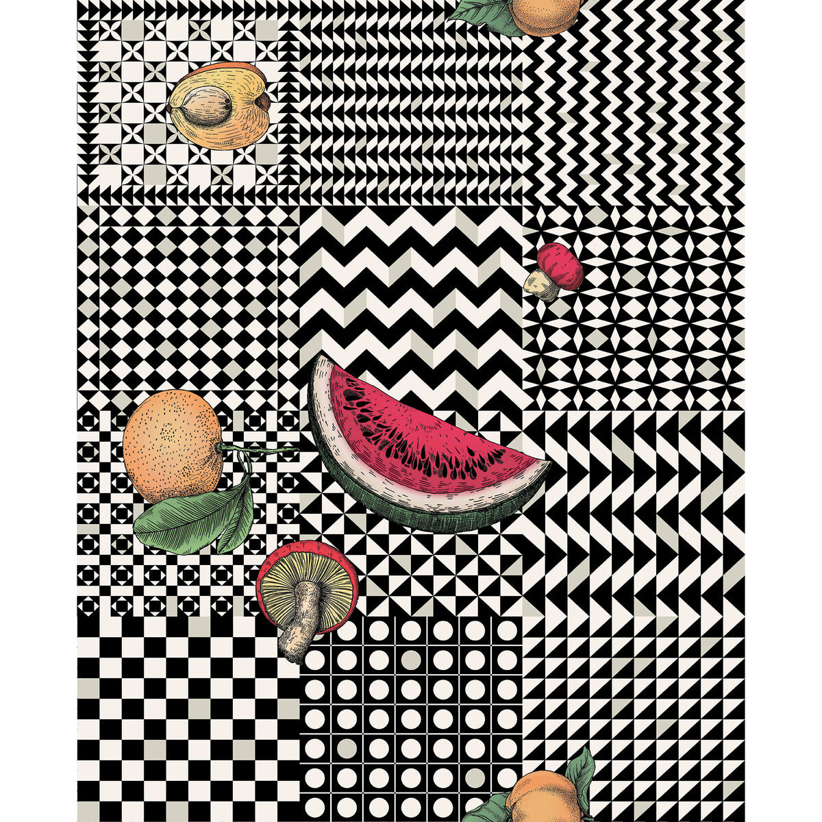 123/6027-CS FRUTTA E GEOMETRICO MULTI COLE & SON Wallpaper