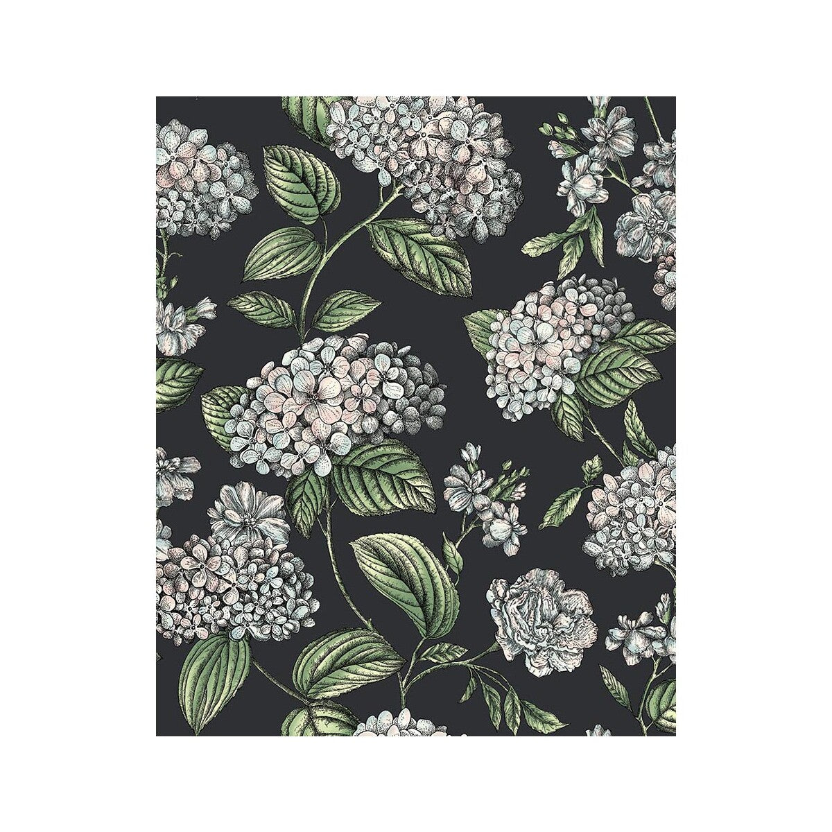 123/8038-CS RAMO DI ORTENSIA CHARCOAL COLE & SON Wallpaper