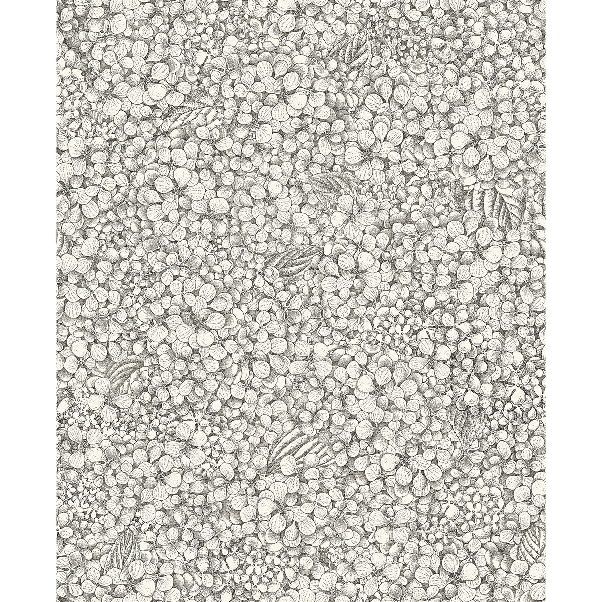 123/9043-CS ORTENSIA BLACK & WHITE COLE & SON Wallpaper