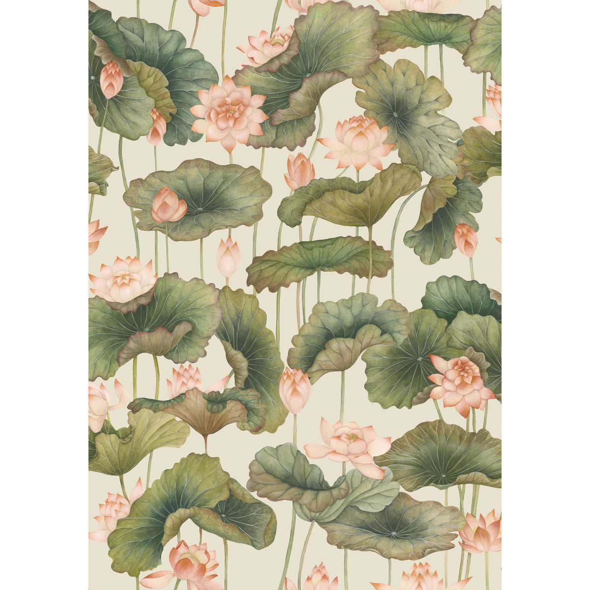 126/9032-CS COLE & SON LILY LOTUS ORANGE & OLIVE