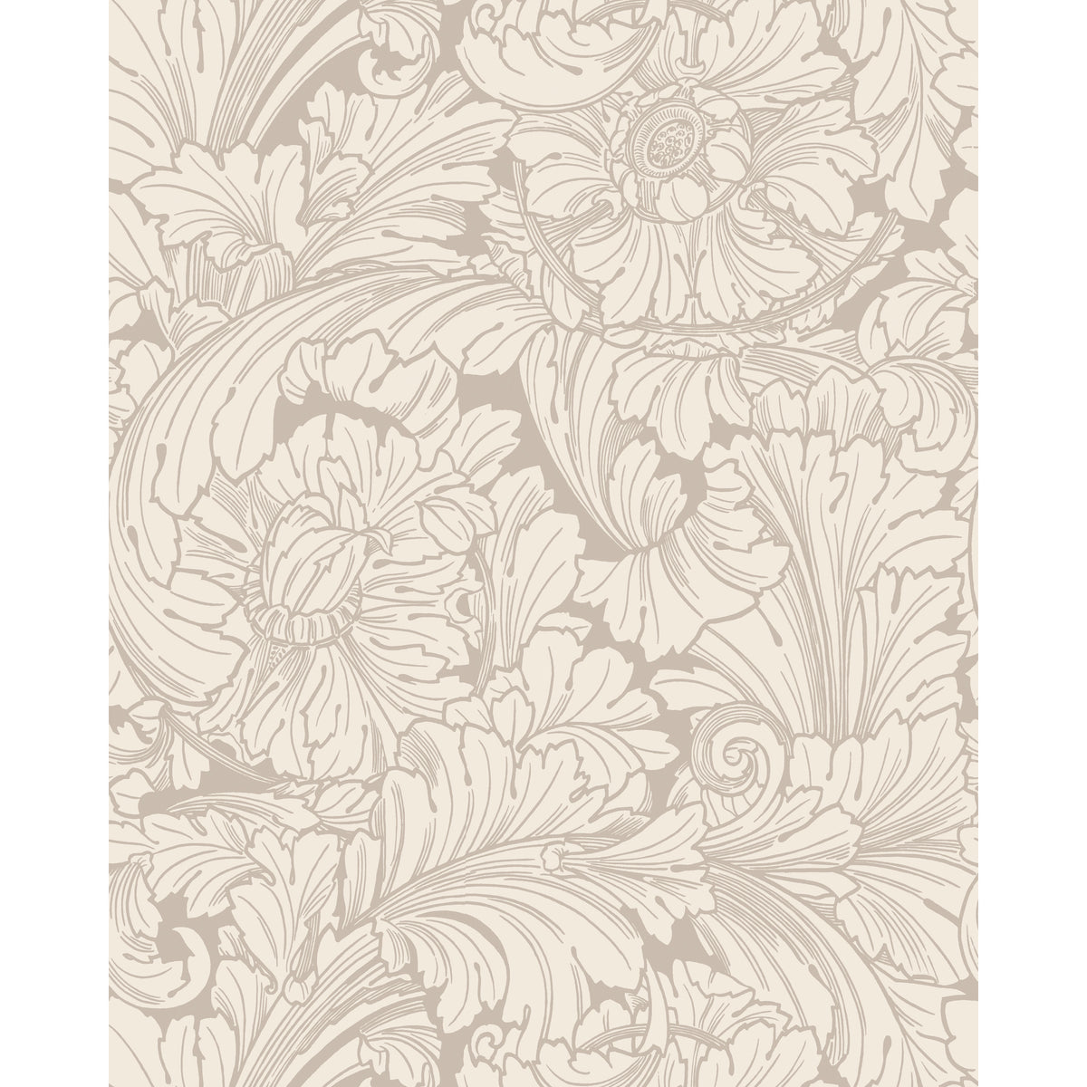 127/6029-CS COLE & SON ACANTHUS CREAM/PEBBLE