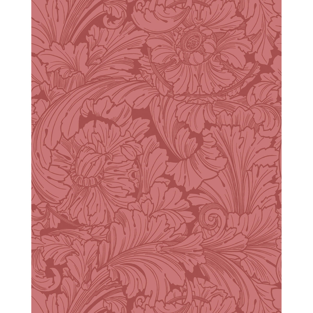 127/6033-CS COLE & SON ACANTHUS STATELY HOME RED