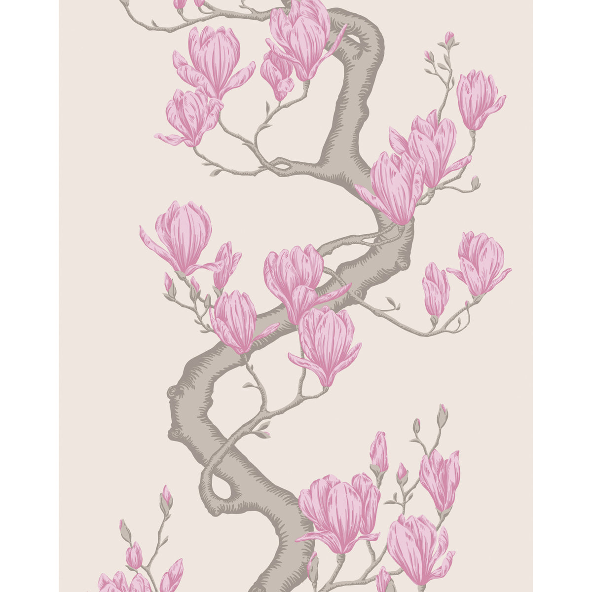 128/1002-CS COLE & SON MAGNOLIA TREE PARCHMENT