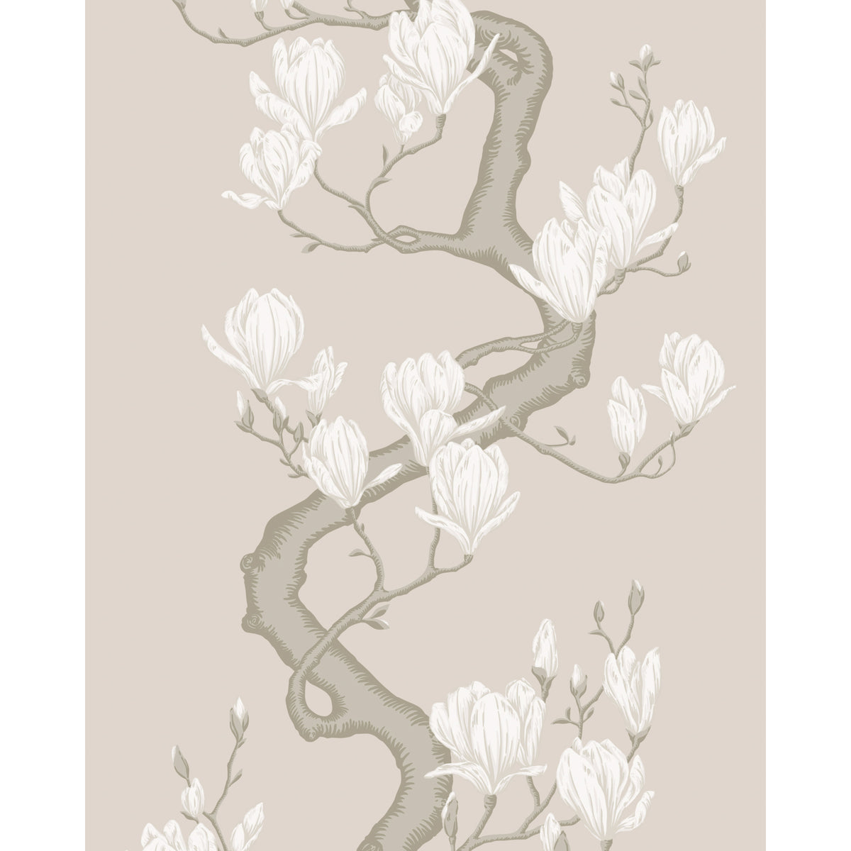 128/1003-CS COLE & SON MAGNOLIA TREE SOFT CREAM