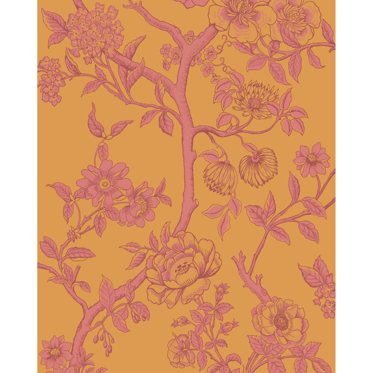 128/2011-CS COLE & SON PARADISE TREE TANGERINE