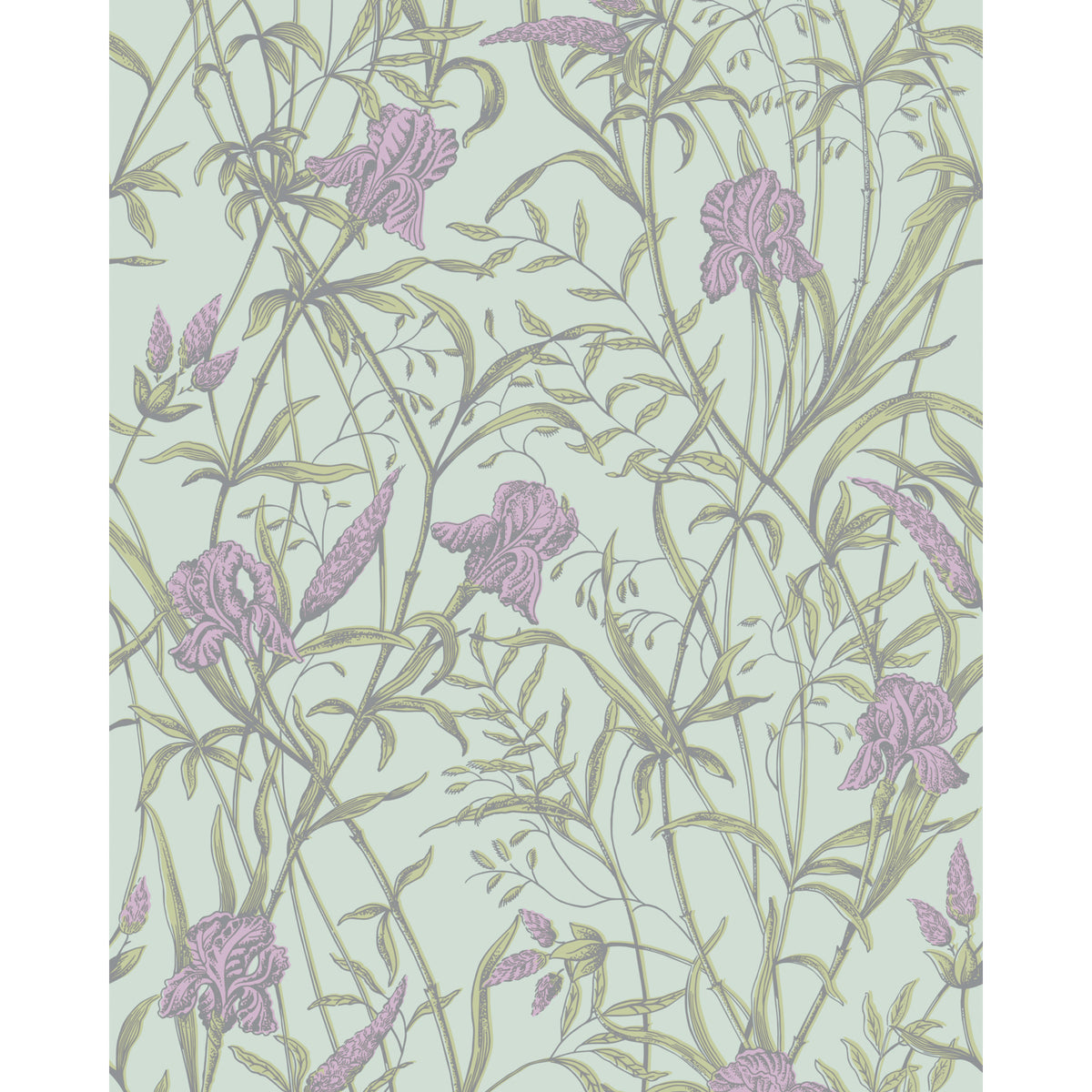128/5024-CS COLE & SON IRIS LAVENDER ON DUCK EGG