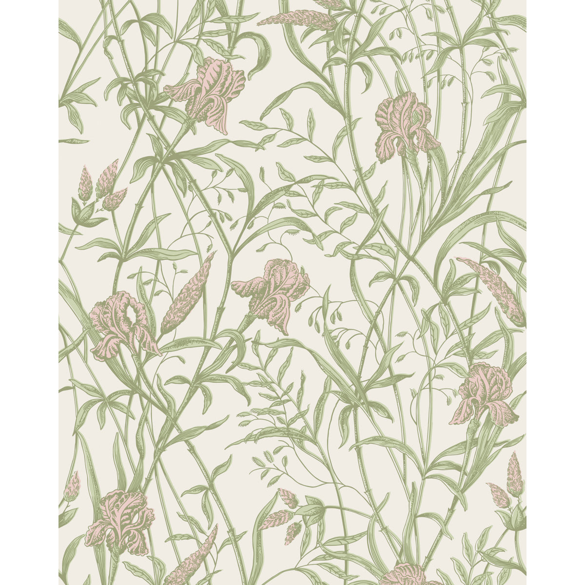 128/5025-CS COLE & SON IRIS SOFT CORAL ON CHALK