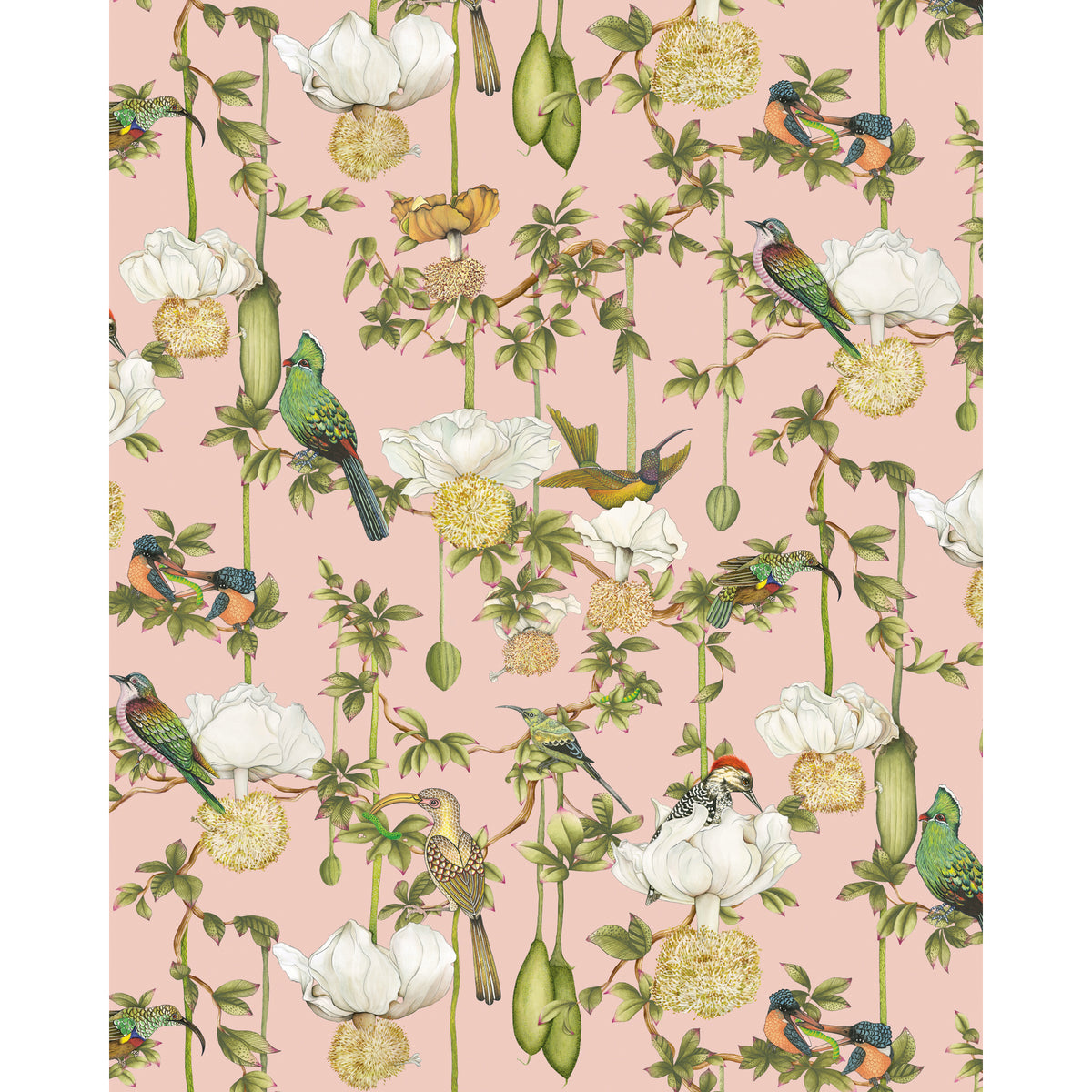 129/2005-CS COLE & SON BAOBAB BOTANICA BLUSH